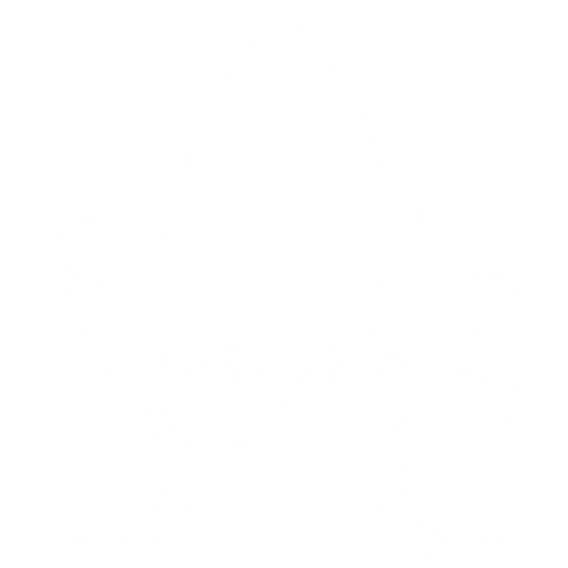 squid-white-2